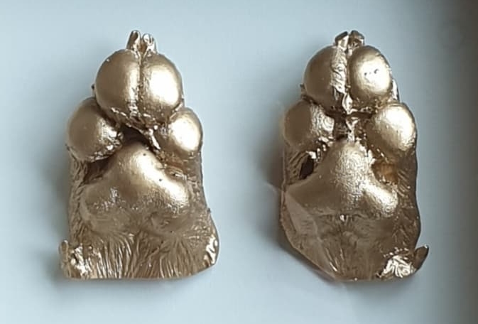 Pet Paw Casting Kit
